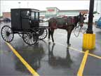 Amish Wagon