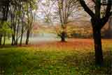 Autumn Field, England