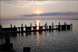 Hooper Island Sea Gulls, photo